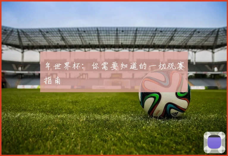 年世界杯:你需要知道的一切观赛指南